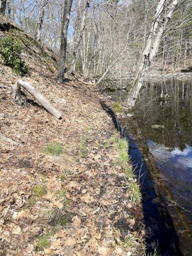 pond-side trail in April at Mainstone Farm in eastern MA