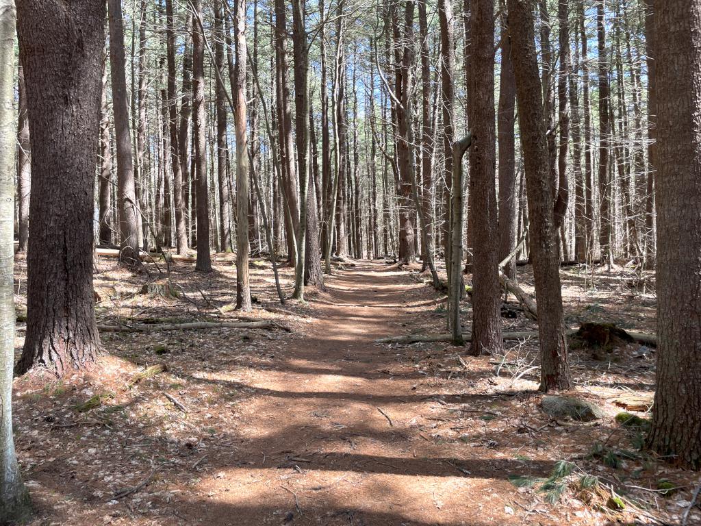 trail in April at Mainstone Farm in eastern MA