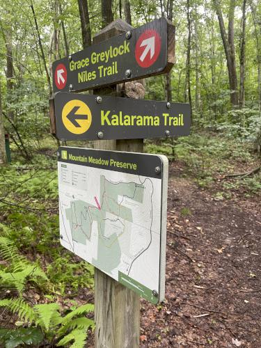 trail junction sign in August at Mason Hill in northwest MA