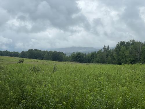 view in August at Mason Hill in northwest MA