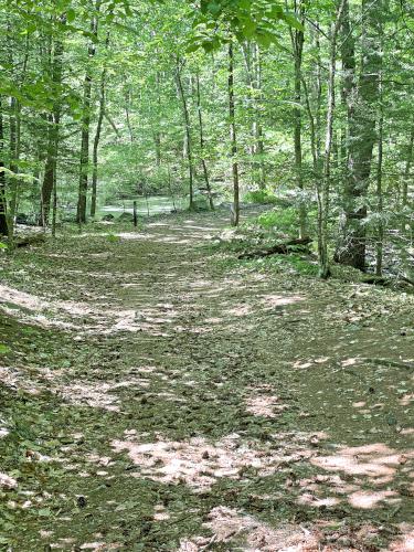 trail in May at Massabesic Audubon Center in southern NH