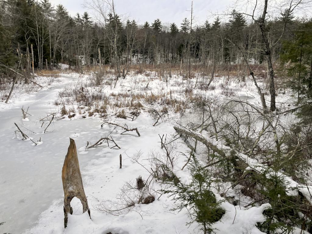 overlook view in January at Meredith Community Forest in New Hampshire