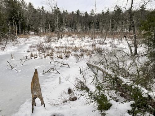 overlook view in January at Meredith Community Forest in New Hampshire