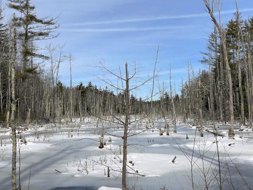 pond in March beside Michaela's Way Loop in southern New Hampshire