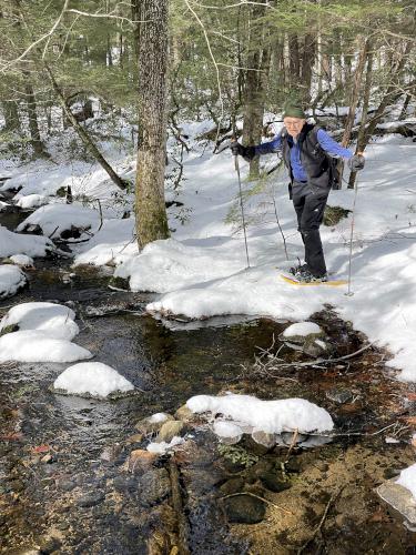 stream in March beside Michaela's Way Loop in southern New Hampshire