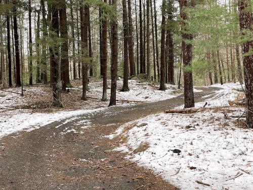 road in April at Middleton Pond in northeast MA