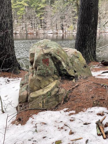 trailside rock in April at Middleton Pond in northeast MA