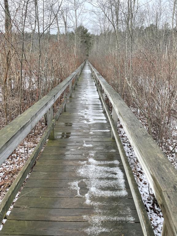 boardwalk in January at Manchester-Essex Wilderness Conservation Area near Essex in northeast Massachusetts