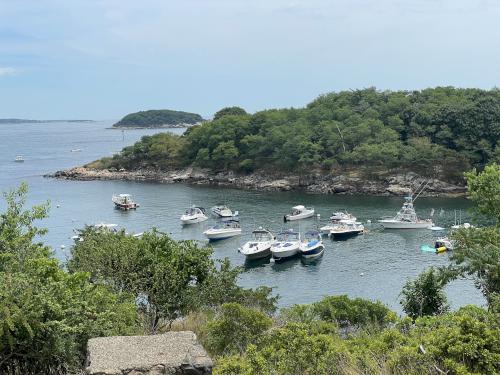 pleasure boats anchored in North Cove in July at Misery Island in northeast MA