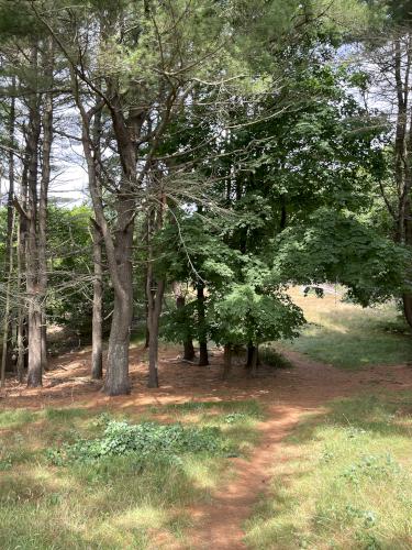 trail in July at Misery Island in northeast MA