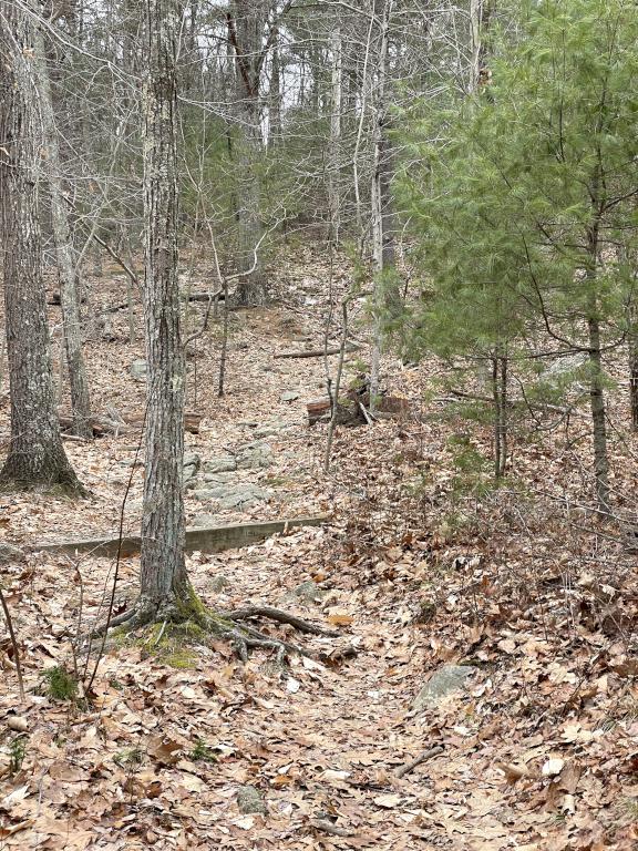 Summit Trail in December at Moose Hill in eastern Massachusetts