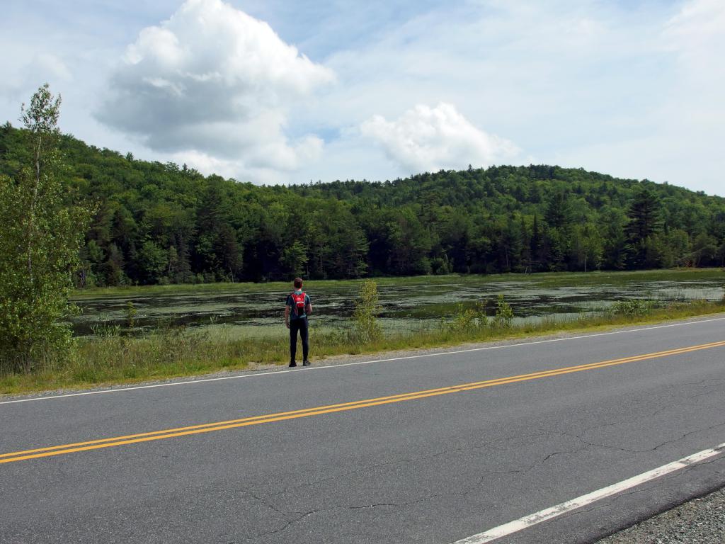 Carl checks out a swampy area in July across Route 4A from Morgan Pond Mountain in southern New Hampshire