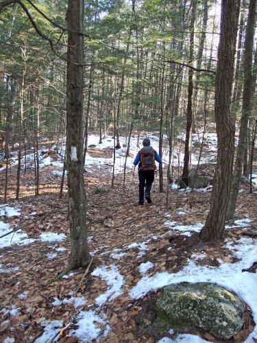 trail at Mulligan Forest in southern New Hampshire