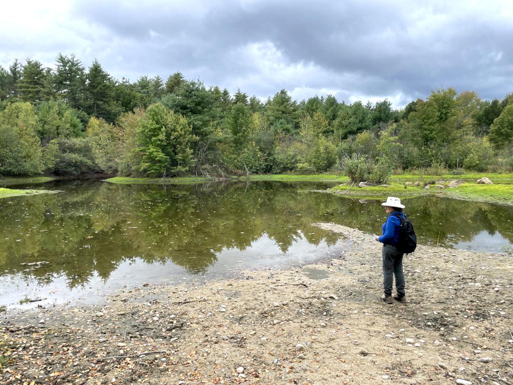 pond in September at Muriel Church Trail in southern NH