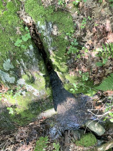 Mystery Spring in July at the end of the Mystery Spring Trail at Westford in northeast MA