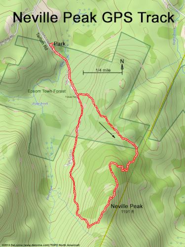 Epsom Town Forest gps track