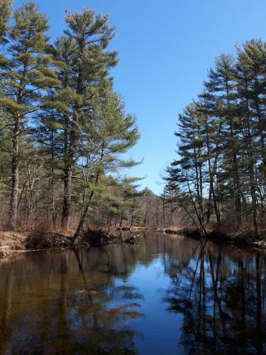 Nissitissit River in March near Nissitissit Meadows in Pepperell, MA