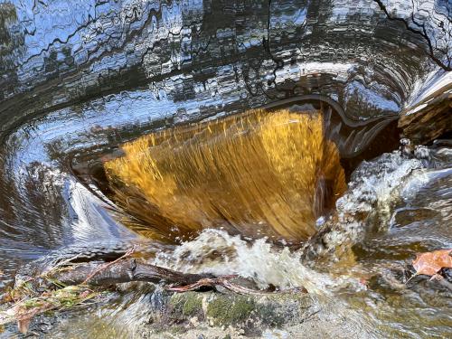 culvert in December at Gordon Pond in Norris Reservation in eastern Massachusetts