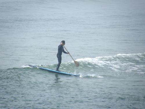 surfer at Ogunquit Beach in Maine