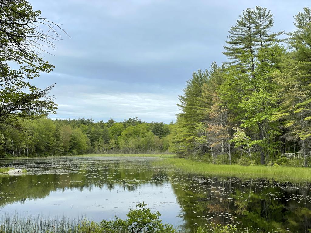 view from Bob's Bench in May at Page Pond Community Forest in New Hampshire