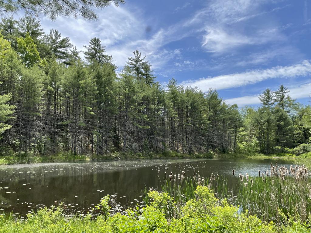 Page Pond Community Forest