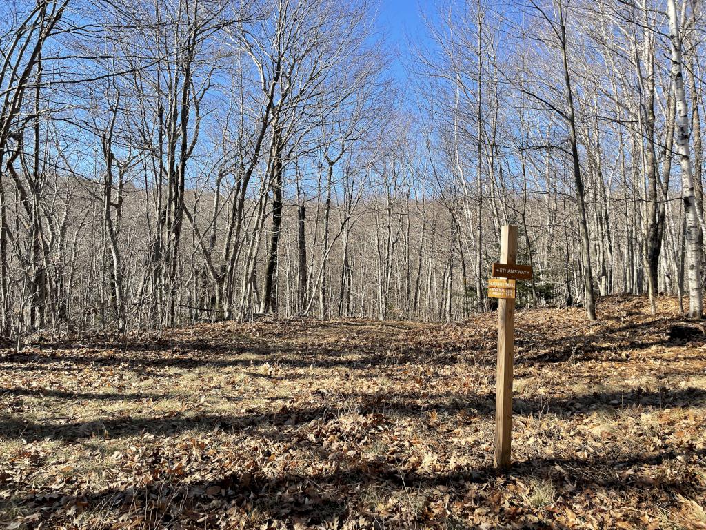 trail in December at Partridge Woods in southern New Hampshire