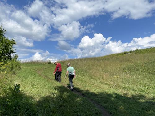 trail in July at Mount Peg at Woodstock in Vermont