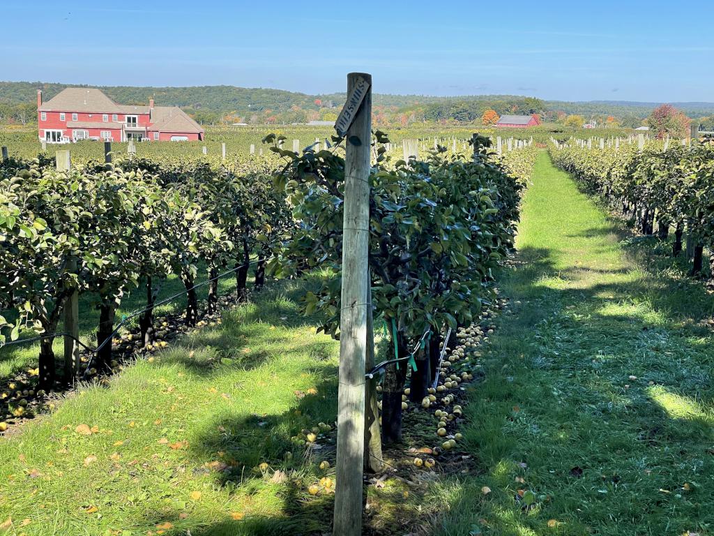 Lookout Farm in October beside Pegan Hill in eastern Massachusetts