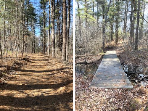 trails in November at Pelham Schools Natural Area in southern NH