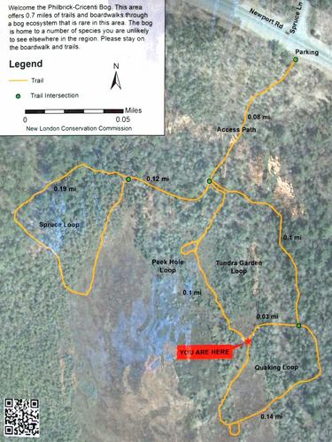 trail map posted at Philbrick-Cricenti Bog in New Hampshire