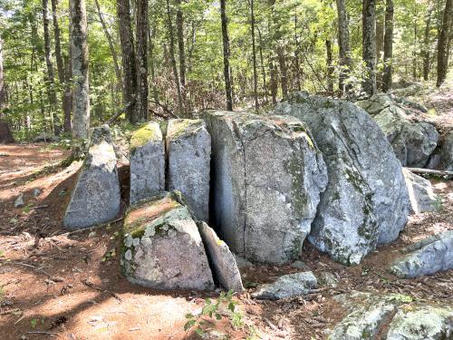 rock in August at Pine Meadow Conservation Area in northeast MA