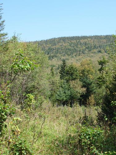 view on the way to East Pleasant Mountain in New Hampshire