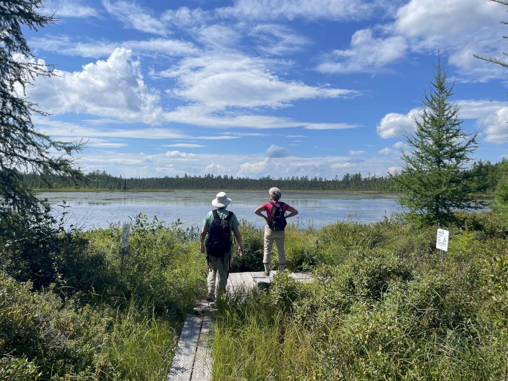 view in August from Little Cherry Pond at Pondicherry Wildlife Refuge in New Hampshire