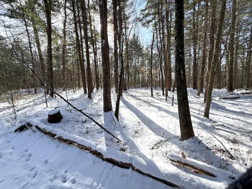 summit in January at Poplar Hill near Methuen in northeast MA