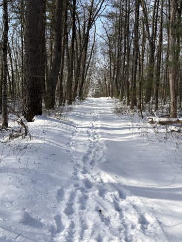 trail in January at Poplar Hill near Methuen in northeast MA