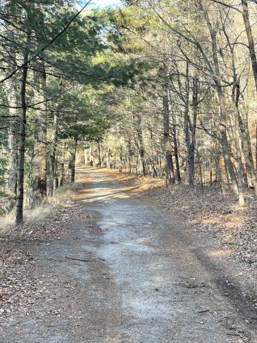 trail in December at Lake Potanipo Trail near Brookline in southern NH