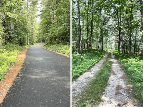 roads in July at Pottapaug Hill in central MA