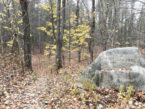 entrance in November at Poutwater Pond WMA at Holden in eastern Massachusetts