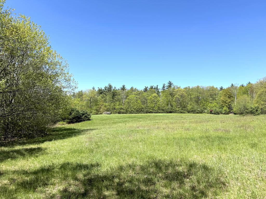 field in May at Rand Brook Forest in southern NH