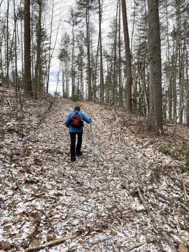 bushwhack in March at Rattlesnake Hill near Hopkinton in southern New Hampshire