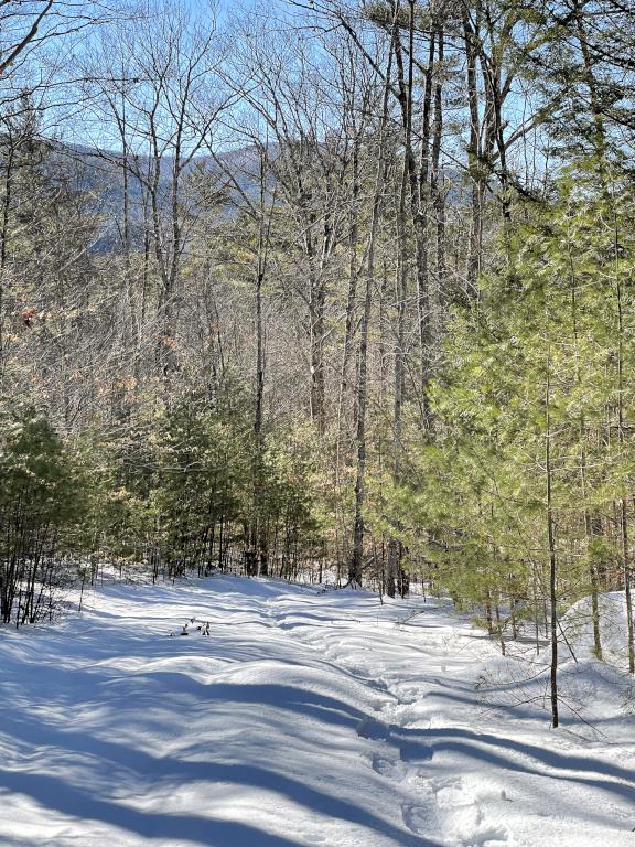 trail in February at Red Hill River Conservation Area near Sandwich in central New Hampshire