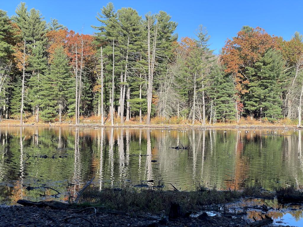 pond in October at Richardson Preserve in northeast MA