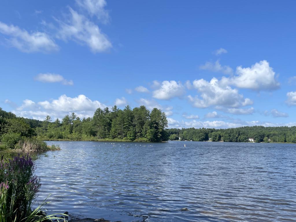 view in August of Robinson Pond in southern NH