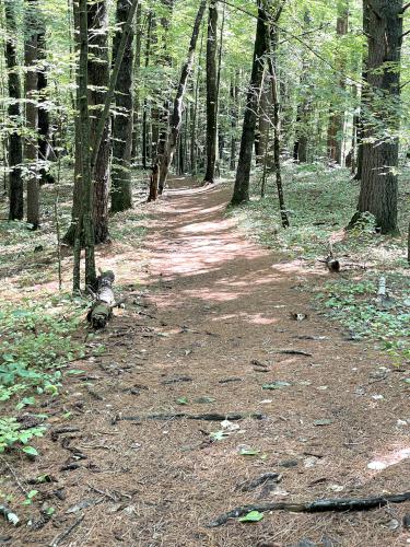 hike Robinson Pond NH