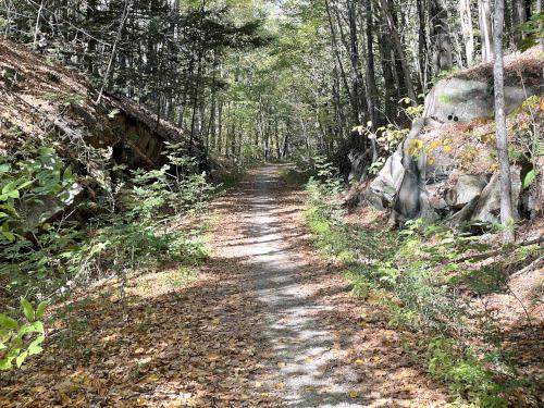 a trail section cut through a hill in October on the Rockingham Recreational Rail Trail in southern NH