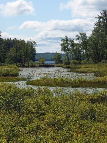 view across a marsh toward Route 121 and Massabesic Lake from the Rockingham Recreational Trail in southern New Hampshire
