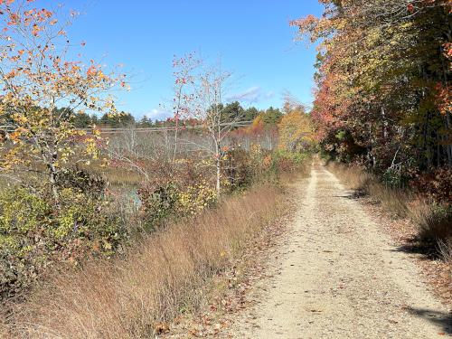 swamp in October beside the Rockingham Recreational Rail Trail in southern NH