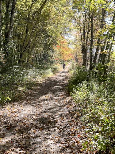 bikers in October on the Rockingham Recreational Rail Trail in southern NH