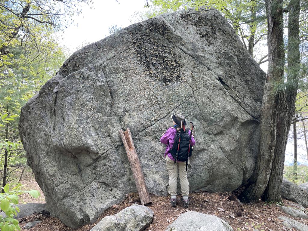 boulder in May at Rocky Pond near Boylston, MA