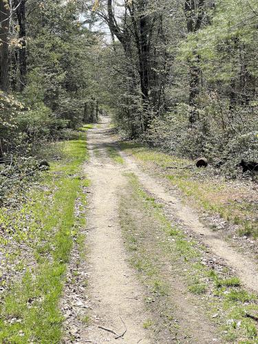 Parmenter Street in May at Rocky Pond near Leominster, MA